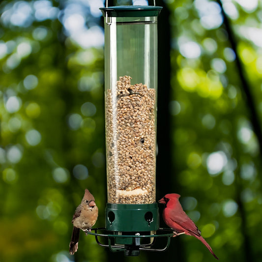 Spinning Perch Bird Feeder with 4 Feeding Ports and 5 Pound Seed Capacity for Backyards
