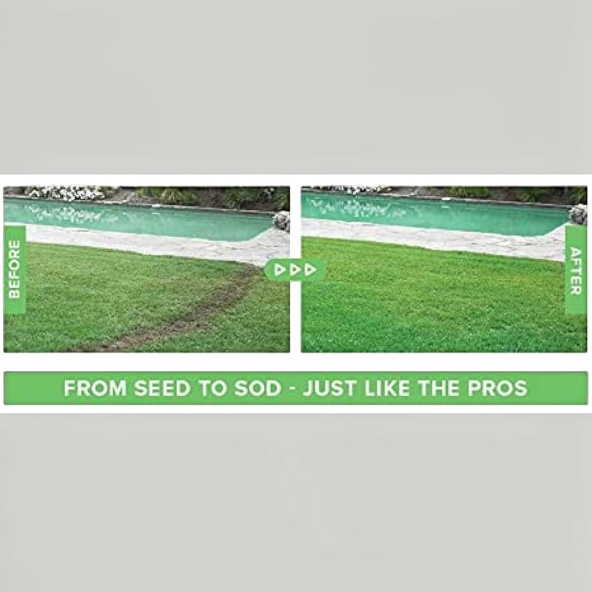 Lawn Seeding Spray System With Liquid Grass Seed