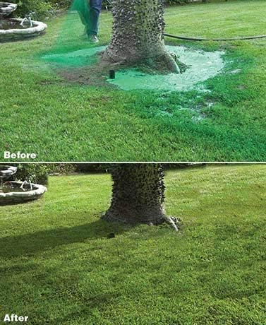 Lawn Seeding Spray System With Liquid Grass Seed