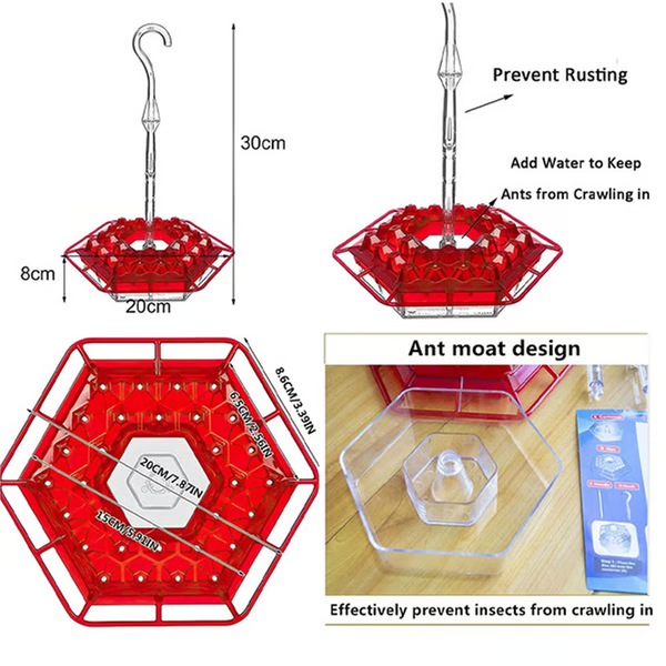 Hummingbird Feeder with Built in Ant Moat Design