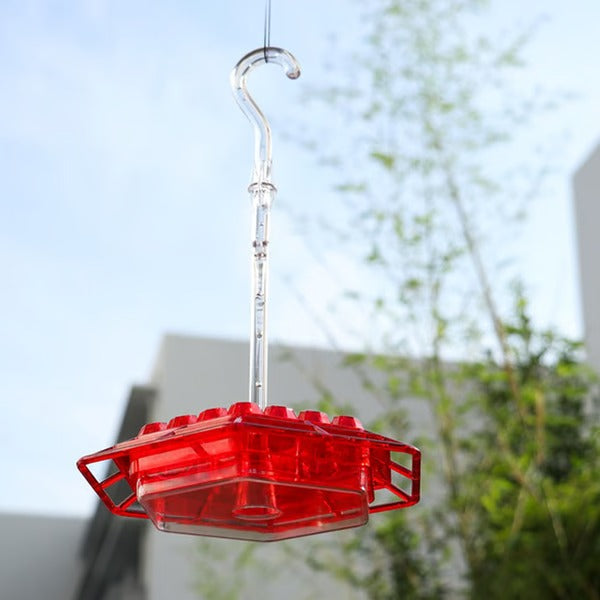 Hummingbird Feeder with Built in Ant Moat Design