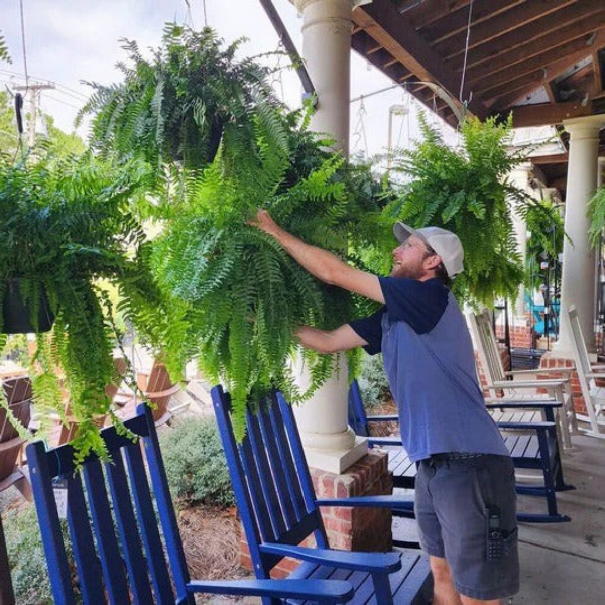 UV Resistant Lifelike Artificial Boston Fern For Outdoors