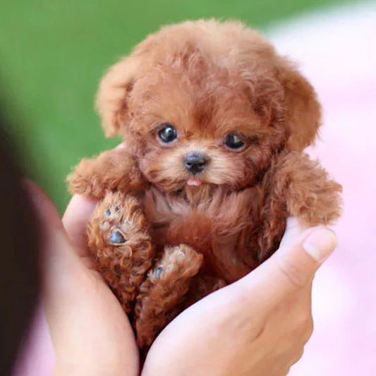 Robot Puppy Interactive Toy Realistic Puppy for Kids