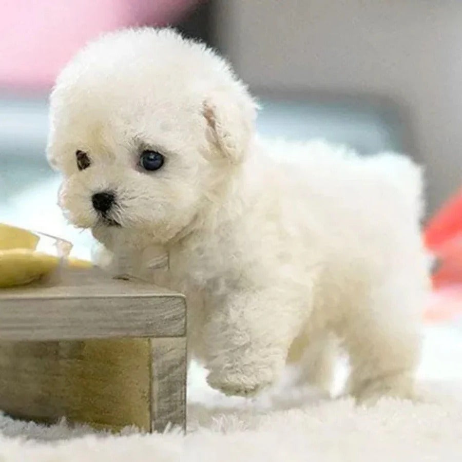Interactive Robotic Puppy Toy with Motion and Sound Features for Kids