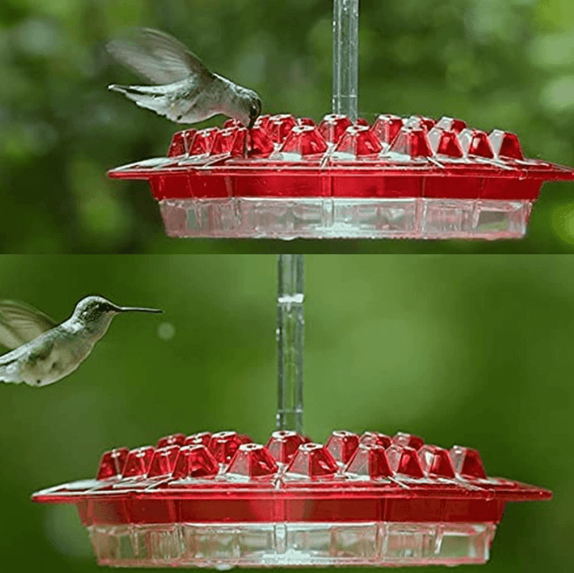 Hummingbird Feeder Ant Proof Outdoor Hanging With Perch