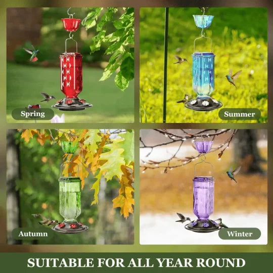 Glass Hummingbird Feeder with a 24 Ounce Capacity, Six Flower Shaped Ports and an Ant Moat in Red or Purple