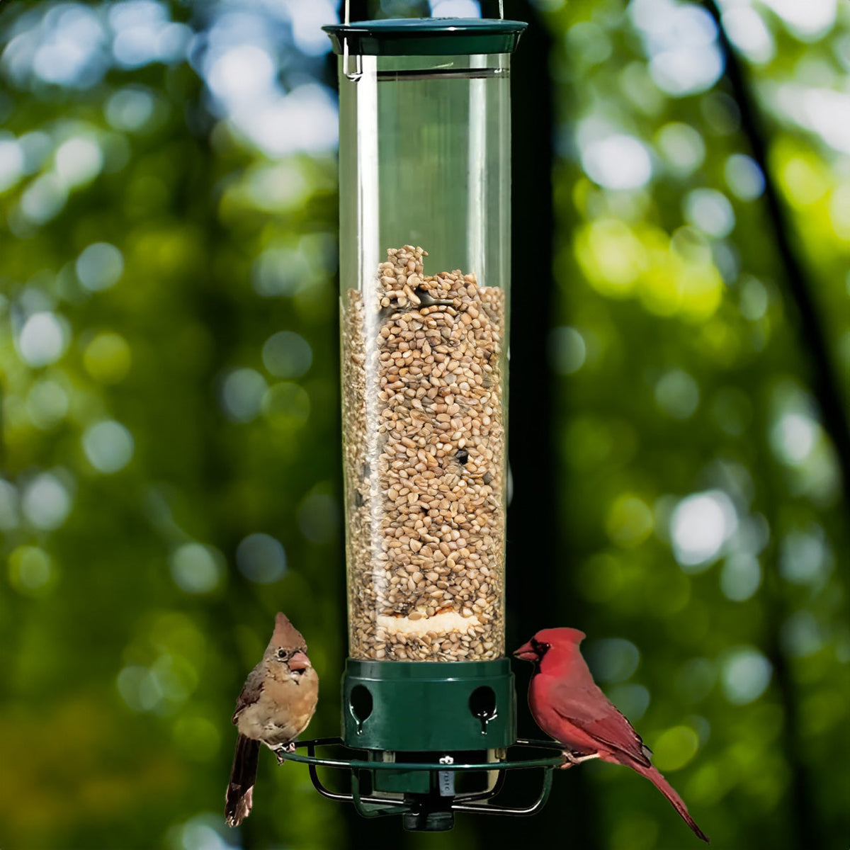 Spinning Perch Bird Feeder with 4 Feeding Ports and 5 Pound Seed Capacity for Backyards