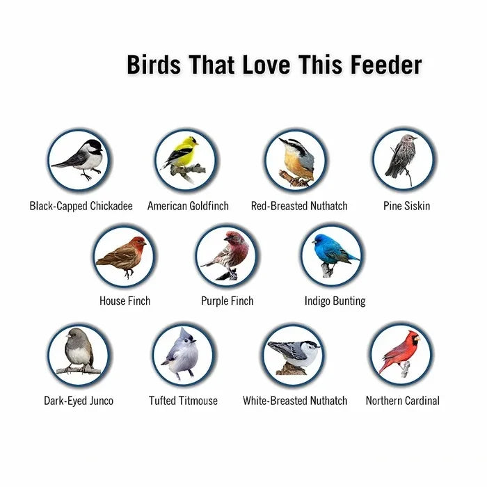 Spinning Perch Bird Feeder with 4 Feeding Ports and 5 Pound Seed Capacity for Backyards