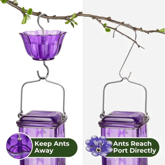 Glass Hummingbird Feeder with a 24 Ounce Capacity, Six Flower Shaped Ports and an Ant Moat in Red or Purple