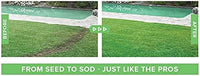 Lawn Seeding Spray System With Liquid Grass Seed