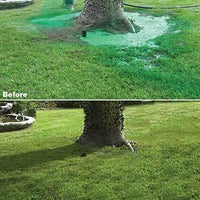 Lawn Seeding Spray System With Liquid Grass Seed