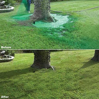 Lawn Seeding Spray System With Liquid Grass Seed