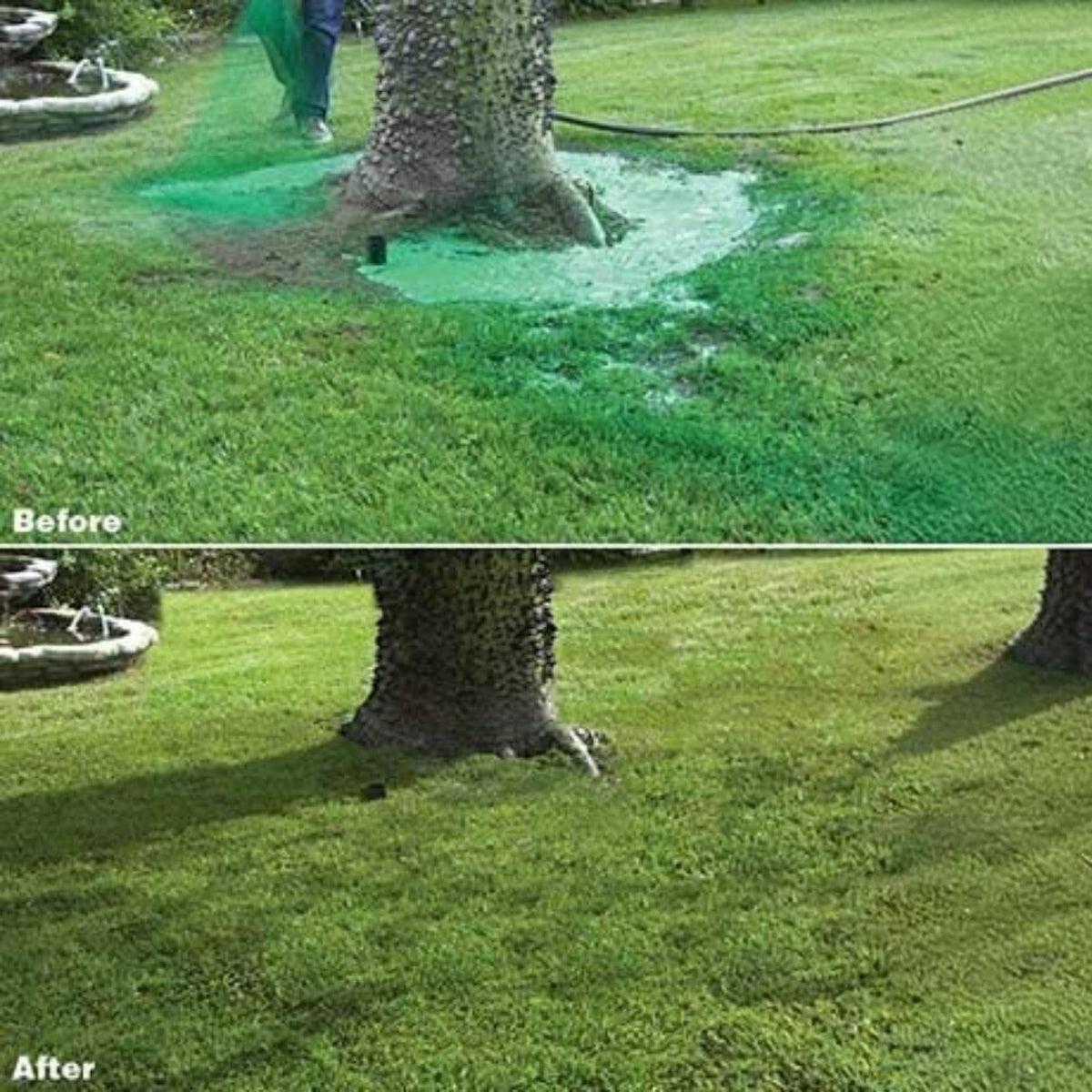 Lawn Seeding Spray System With Liquid Grass Seed
