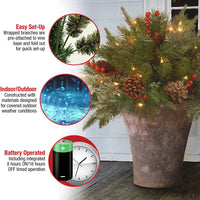 LED Urn Filler with 167 Evergreen Tips and 35 Warm White Lights, Battery Operated