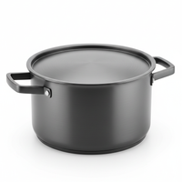 Gray Stock Pot Cookware