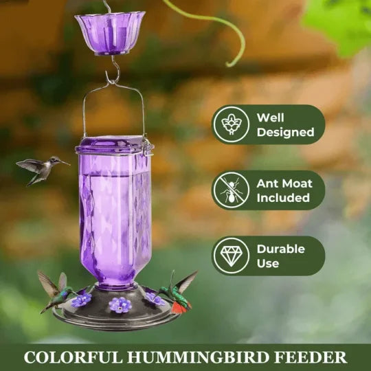 Glass Hummingbird Feeder with a 24 Ounce Capacity, Six Flower Shaped Ports and an Ant Moat in Red or Purple