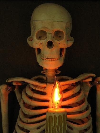 Framed Skeleton Torso Wall Decor with Flickering LED Light and Hanging Hardware