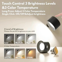 Rechargeable Wall Lamp with Magnetic Ball Rotation and Touch Control, Three Color Temperatures