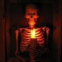 Framed Skeleton Torso Wall Decor with Flickering LED Light and Hanging Hardware