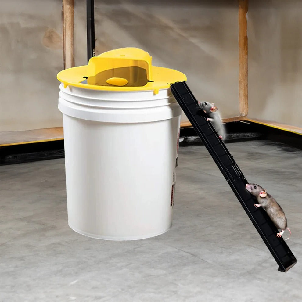 Self-Resetting Bucket Trap with Dual Access Ladders for 5-Gallon Buckets