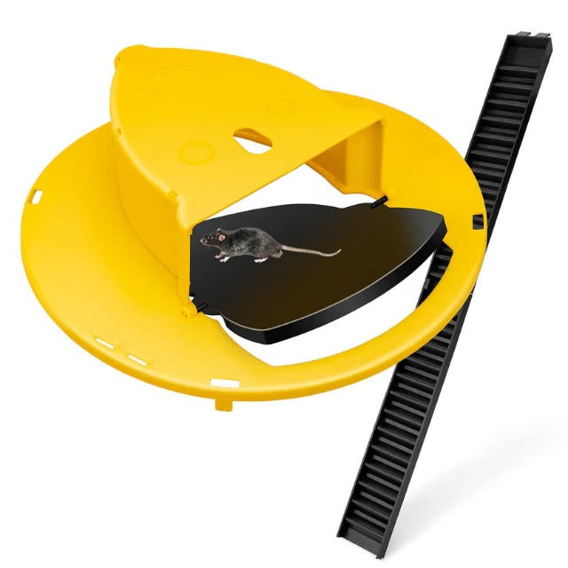 Self-Resetting Bucket Trap with Dual Access Ladders for 5-Gallon Buckets