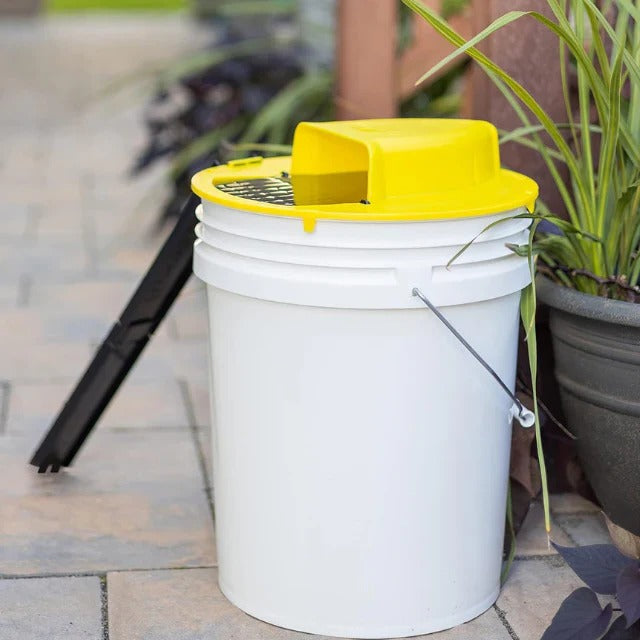 Self-Resetting Bucket Trap with Dual Access Ladders for 5-Gallon Buckets