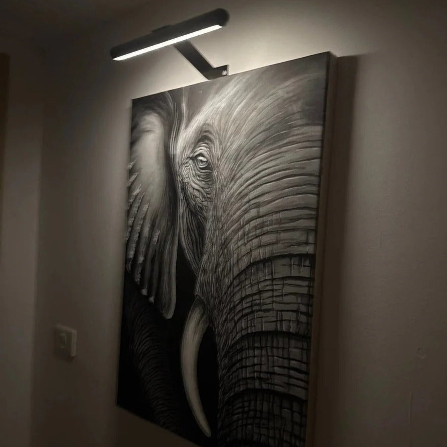 Rechargeable LED Picture Light with 360-Degree Swivel and Stepless Dimming