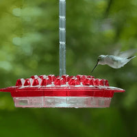 Hummingbird Feeder with Built in Ant Moat Design