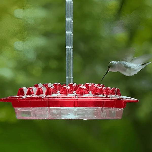 Hummingbird Feeder with Built in Ant Moat Design