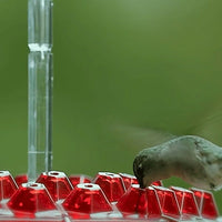 Hummingbird Feeder with Built in Ant Moat Design