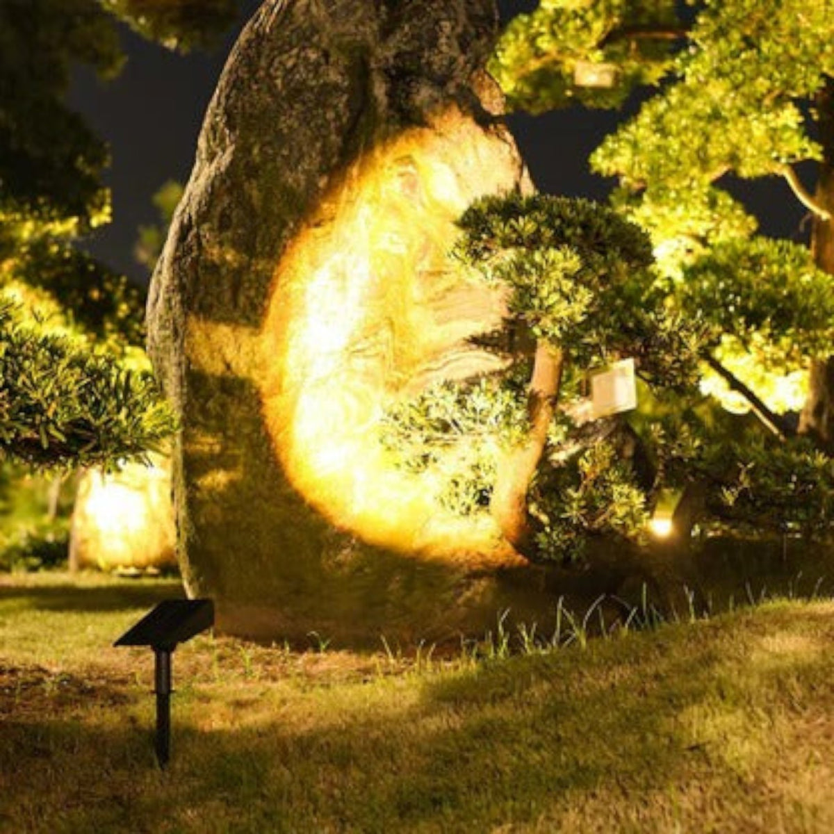 Solar LED Multi-Zoom Spot Light