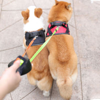 Dog Leash for Two Dogs with Anti-Tangle Design