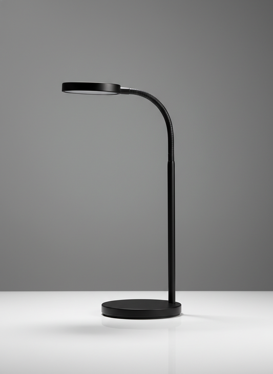 Black Desk Lamp